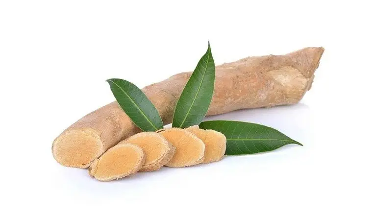 Tongkat Ali root extract